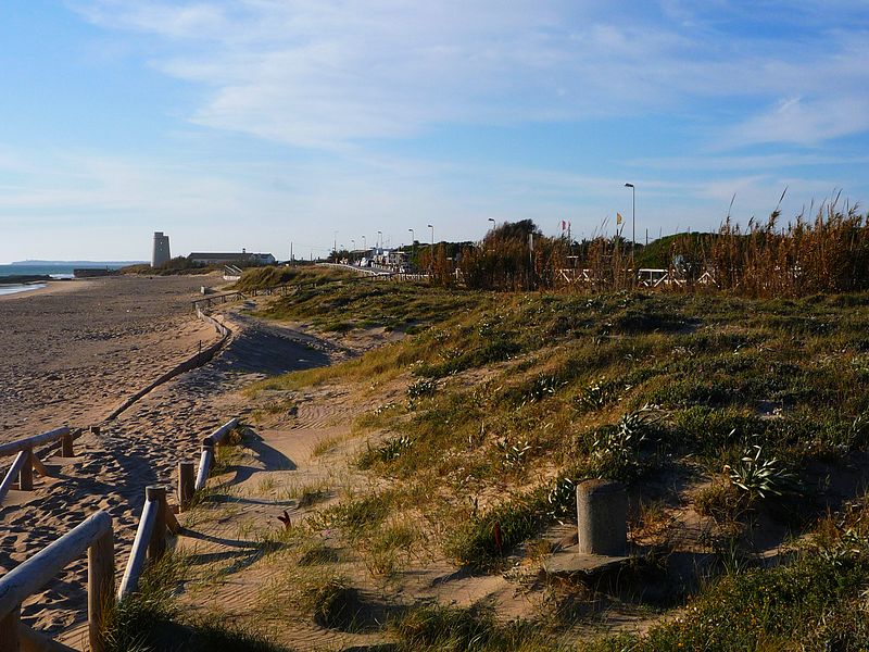 el-palmar